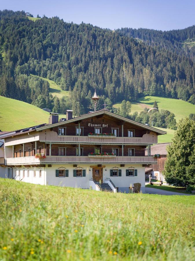 Appartment Thumerhof Wildschoenau 涅德劳 外观 照片